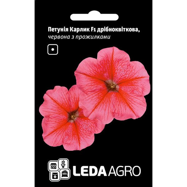 Семена петунии Карлик F1 красная с прожилкой /10 семян/ *LedaAgro*