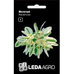 Молочай Ранній сніг /0,2 г/ *LedaAgro*