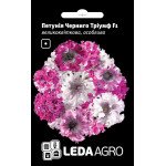 Петуния Черниго Триумф F1 /10 семян/ *LedaAgro*