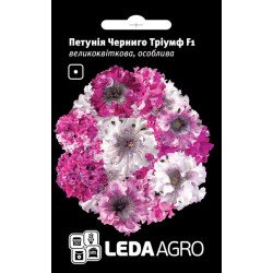 Петуния Черниго Триумф F1 /10 семян/ *LedaAgro*