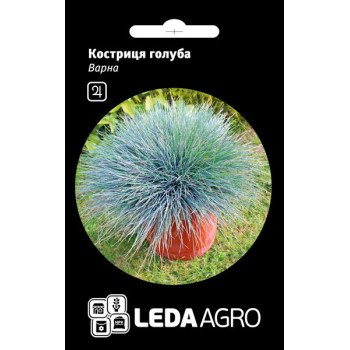 Овсяница голубая Варна /0,2 г/ *LedaAgro*