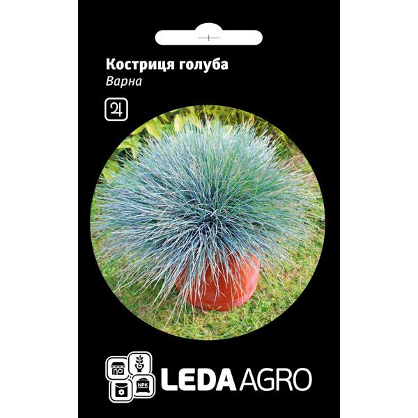 Семена овсяницы голубая Варна /0,2 г/ *LedaAgro*