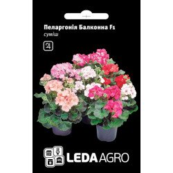 Пеларгония Балконная F1 /5 семян/ *LedaAgro*