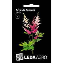 Астильба Арендса суміш /0,01 г/ *LedaAgro*
