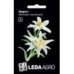 Эдельвейс Эверест /10 семян/ *LedaAgro*