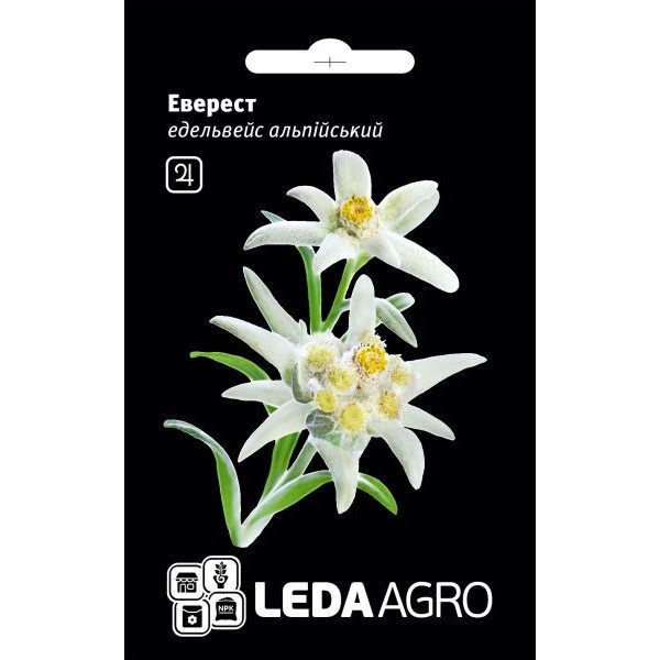 Семена эдельвейса Эверест /10 семян/ *LedaAgro*