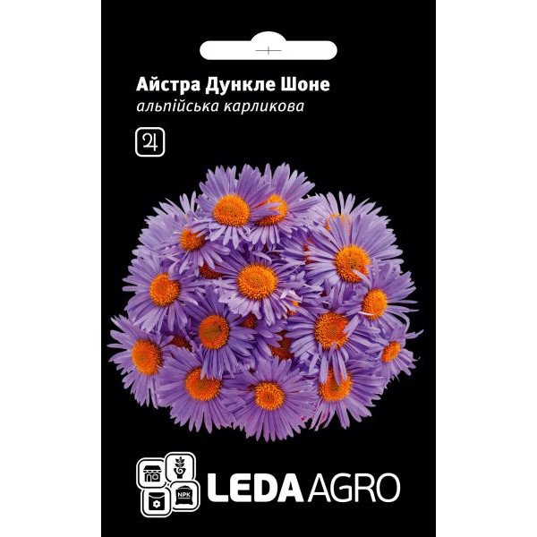 Насіння айстри альпійської Дункле Шоне /10 насінин/ *LedaAgro*