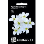 Арабис Белый Подиум /10 семян/ *LedaAgro*