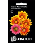 Газания Фрости Кисс F1 пламенная смесь /5 семян/ *LedaAgro*