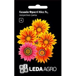 Газанія Фрості Кісс F1 полум'яна суміш /5 насінин/ *LedaAgro*
