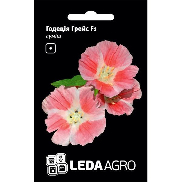 Насіння годеції Грейс F1 суміш /5 насінин/ *LedaAgro*