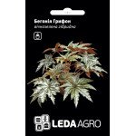 Бегонія Грифон /3 насінини/ *LedaAgro*