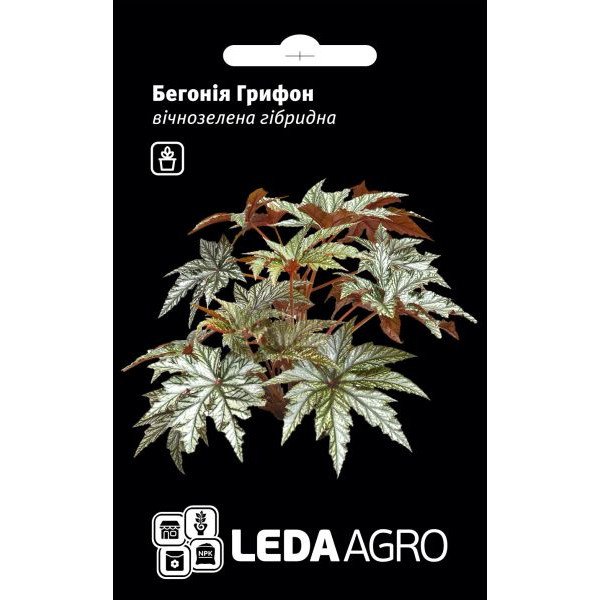 Насіння бегонії Грифон /3 насінини/ *LedaAgro*