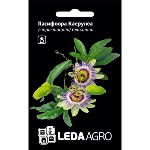 Насіння пасифлори Каерулеа /0,01 г/ *LedaAgro*