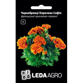 Чорнобривці Королева Софія /0,25 г/ *LedaAgro*