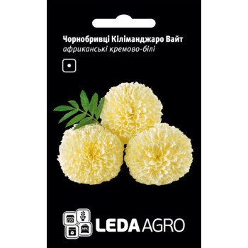 Бархатцы Килиманджаро Вайт /0,2 г/ *LedaAgro*