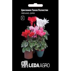 Цикламен Танок Пелюсток суміш (mix) /8 насінин/ *LedaAgro*
