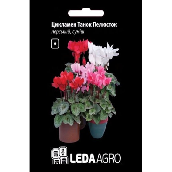 Насіння цикламена Танок Пелюсток суміш (mix) /8 насінин/ *LedaAgro*