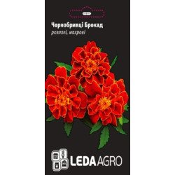 Бархатцы Брокад красные /0,2 г/ *LedaAgro*