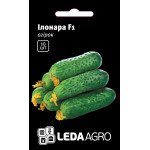 Огурец Илонара F1 /10 семян/ *LedaAgro*