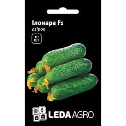 Огурец Илонара F1 /10 семян/ *LedaAgro*