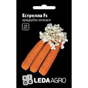Кукурудза попкорн Естрелла F1 /20 насінин/ *LedaAgro*