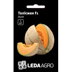 Диня Талісман F1 /5 насінин/ *LedaAgro*