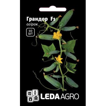 Огірок Грандор F1 /10 насінин/ *LedaAgro*