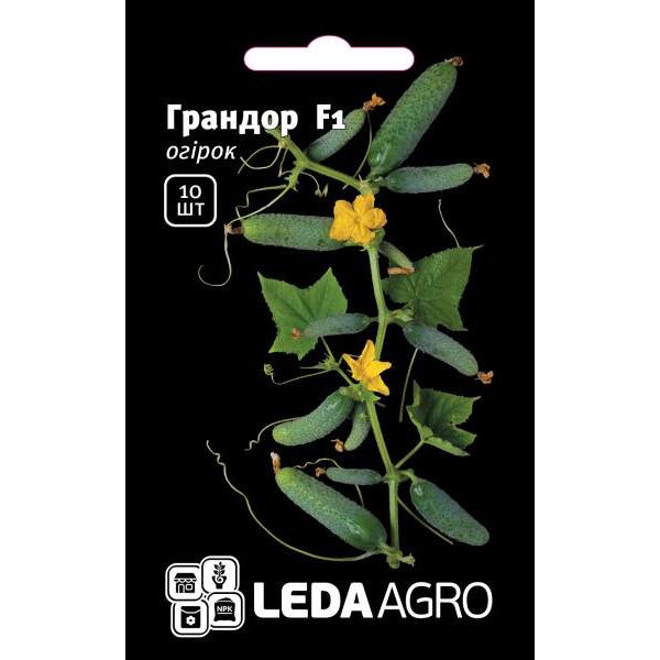 Насіння огірка Грандор F1 /10 насінин/ *LedaAgro*