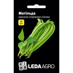 Квасоля Матільда /50 насінин/ *LedaAgro*