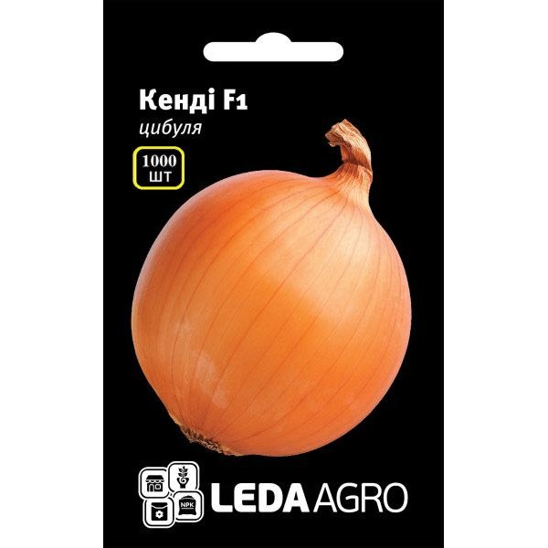 Семена лука Кенди F1 /1000 семян/ *LedaAgro*