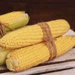 Кукурудза цукрова Фіона F1 /100 насінин/ *LedaAgro*