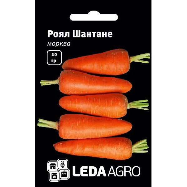 Насіння моркви Роял Шантане /10 г/ *LedaAgro*