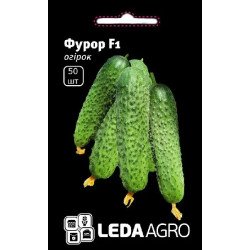 Огурец Фурор F1 /50 семян/ *LedaAgro*