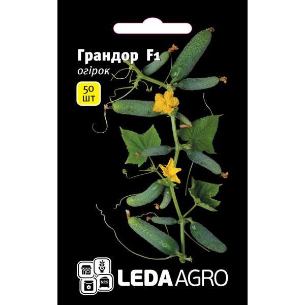 Семена огурца Грандор F1 /50 семян/ *LedaAgro*