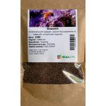 Фацелия /100 г/ *LedaAgro*