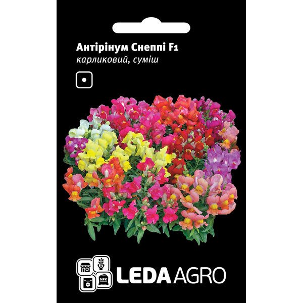 Семена львиного зева Снеппи F1 смесь /10 семян/ *LedaAgro*