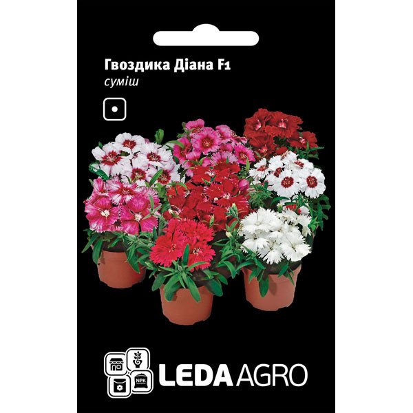 Насіння гвоздики китайської Діана F1 суміш /10 насінин/ *LedaAgro*
