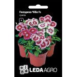 Гвоздика китайська Чіба F1 суміш /10 насінин/ *LedaAgro*
