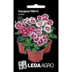Гвоздика китайська Чіба F1 суміш /10 насінин/ *LedaAgro*