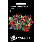 Сальвия блестящая Редди смесь /10 семян/ *LedaAgro*