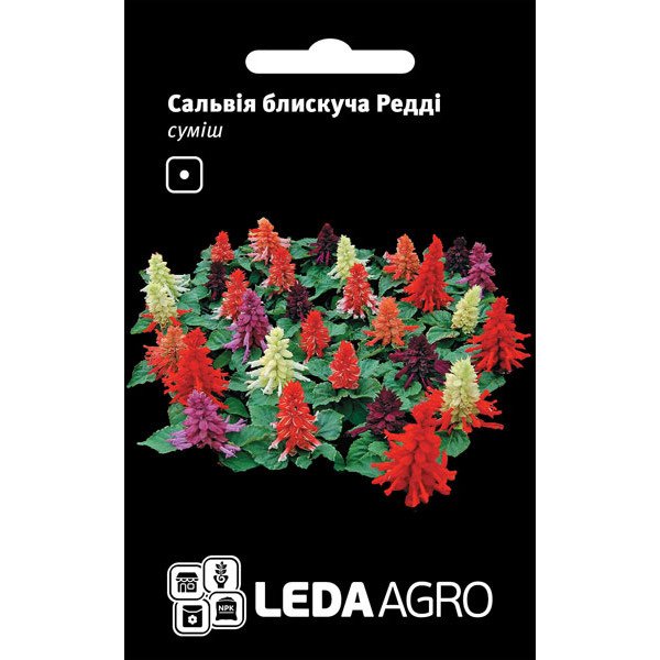 Насіння сальвії блискуча Редді суміш /10 насінин/ *LedaAgro*