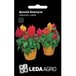 Целозия перистая Блестящая смесь /0,01 г/ *LedaAgro*