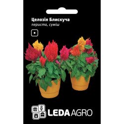 Целозія периста Блискуча суміш /0,01 г/ *LedaAgro*