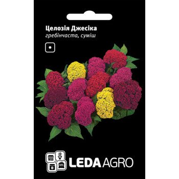 Целозия гребенчатая Джессика смесь /0,01 г/ *LedaAgro*