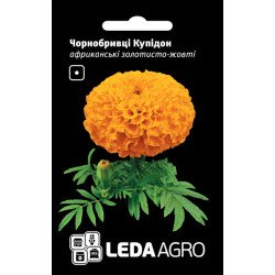 Бархатцы Купидон золотисто-желтые /0,2 г/ *LedaAgro*