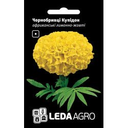 Бархатцы Купидон лимонно-желтые /0,2 г/ *LedaAgro*