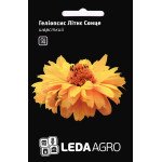 Геліопсис Літнє Сонце /0,2 г/ *LedaAgro*