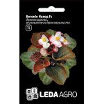 Бегонія Наход F1 /10 насінин/ *LedaAgro*