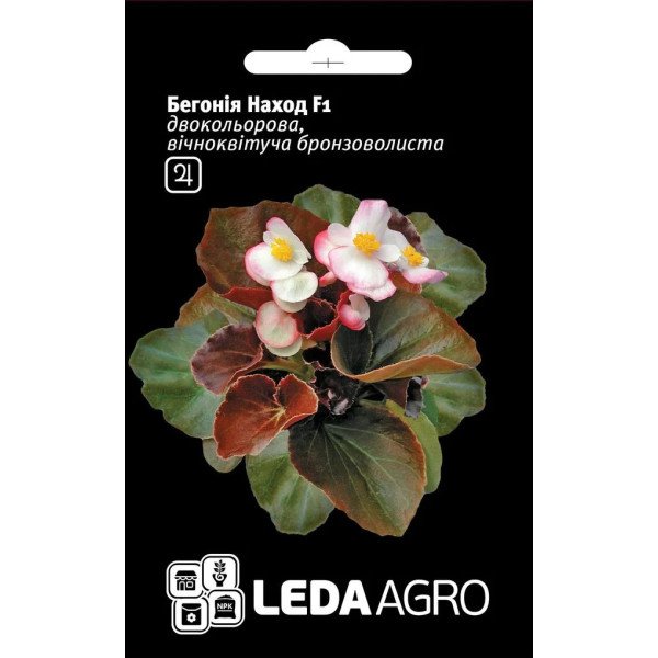 Семена бегонии Наход F1 /10 семян/ *LedaAgro*